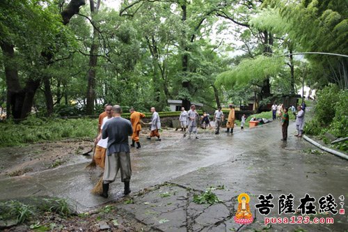 台风-宁波天童寺诚信大和尚携僧众开展台风后寺院恢复活动
