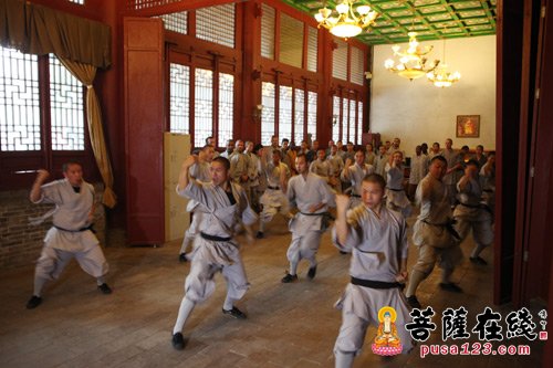 文化-伊朗文化副部长率代表团一行参访嵩山少林寺