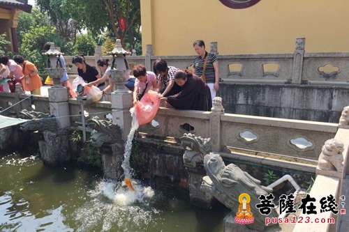文化-上海松隐禅寺举行为期三天纪念观音菩萨诞辰法会