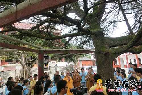 佛学-合肥开福寺佛学夏令营营员一行赴三祖禅寺参访