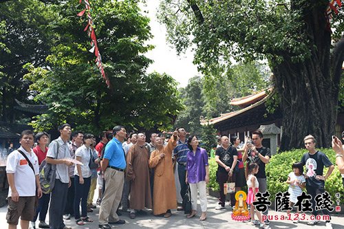 佛教-中佛协正慈副会长赴广州光孝寺参访 明生法师热情接待