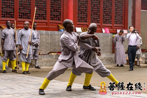 少林寺-“文化部第三届少林功夫非洲学员班”结业典礼在少林寺举行