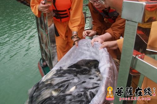 佛教-温州市文成灵德寺举行第二十七期一宿觉禅修营