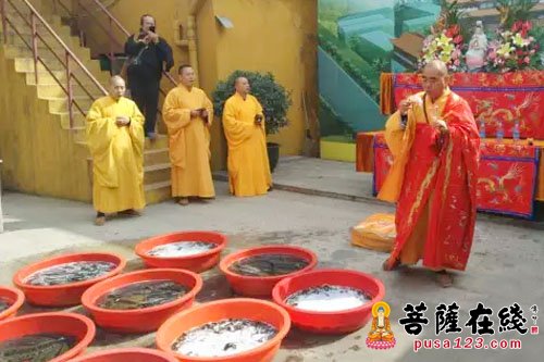 文化-上海青浦观音寺举行观音菩萨出家日祝圣法会