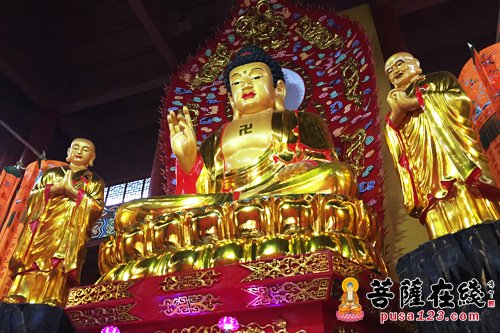 湖北新洲普照寺隆重舉行大雄寶殿全堂佛像開光慶典法會