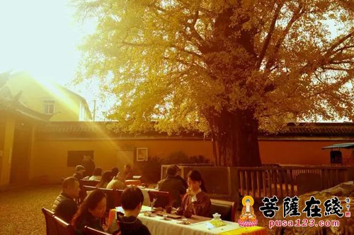 佛教-上海青浦颐浩禅寺举办“禅茶一味”品禅茶活动
