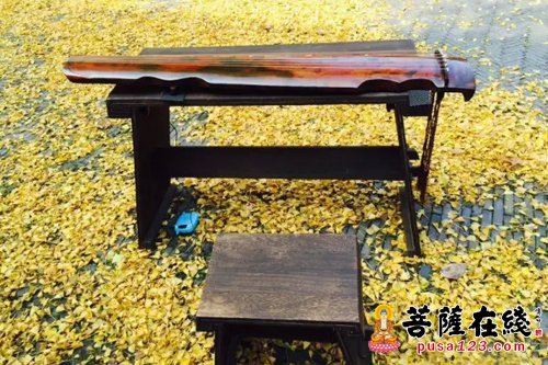 佛教-上海青浦颐浩禅寺举办“禅茶一味”品禅茶活动