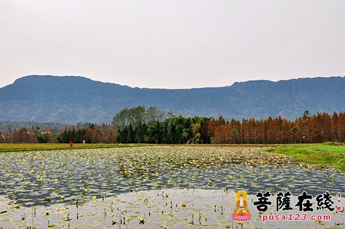永寿-永寿大和尚赴峨眉后山柳江光明寺参观指导
