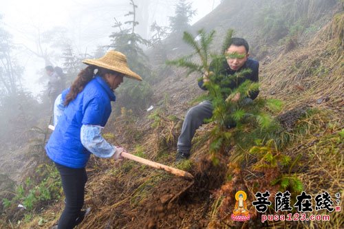 峨眉山-建设生态文明 峨眉山佛子为名山植树添绿