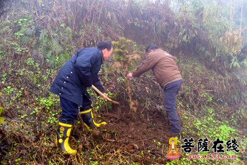 峨眉山-建设生态文明 峨眉山佛子为名山植树添绿