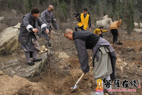 太行山-“种下吉祥树 绿化太行山”邢台玉泉寺大型植树活动