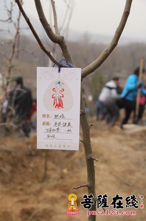 太行山-“种下吉祥树 绿化太行山”邢台玉泉寺大型植树活动