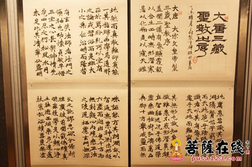 第一届“慈宗青年文化节”于香港开幕