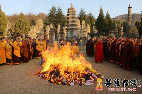 少林寺-少林寺方丈永信大和尚率少林寺两序大众塔林祭祖