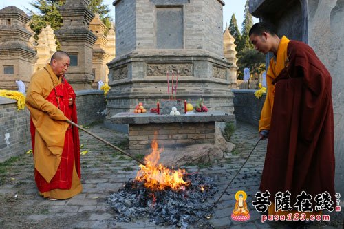 少林寺-少林寺方丈永信大和尚率少林寺两序大众塔林祭祖