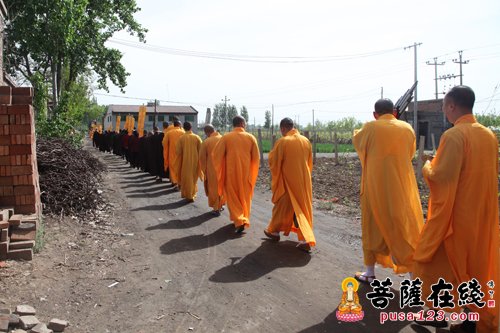 石家庄晋州开寿寺图片