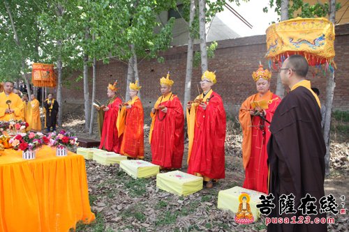 石家庄晋州开寿寺图片