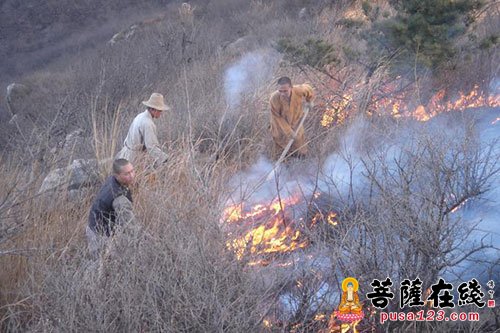 清水寺-湖北清水寺举行“护林防火联防点”揭牌仪式