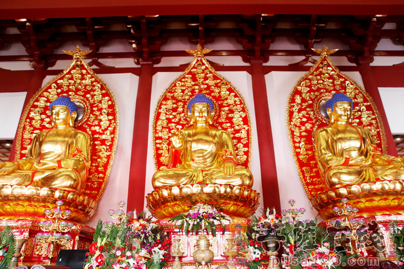 【高清圖集】唐山龍泉寺佛像開光大典暨2016唐山世園會祈福法會隆重