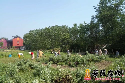 湘阴-湖南湘阴法华古寺 农禅并重感恩修行