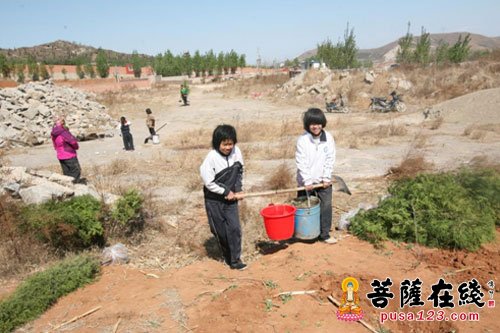 河北唐山千佛寺2016种下“一棵吉祥树”活动圆满