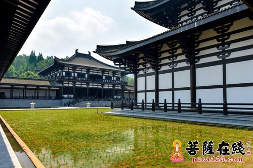峨眉山-永寿大和尚带领峨眉山佛协部分法师赴柳江光明寺秧田插秧
