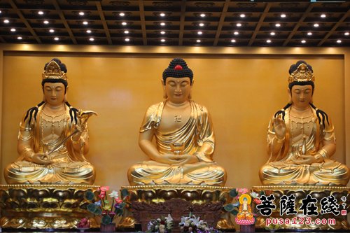 浙江温岭福慧寺举办《佛教的诞生与发展及净土法门初探》讲座