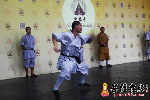 少林寺-少林寺举行“中外名家文化互动交流汇”助力佛缘之路