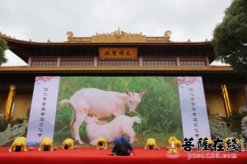 摄影-江苏南通江心寺举行首届九九重阳孝道文化节