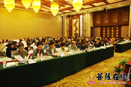 “2016·湖北第三届健康禅论坛”隆重开幕