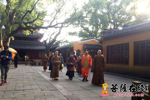 佛教-普陀山佛协道慈会长会见越南佛教教会代表团一行