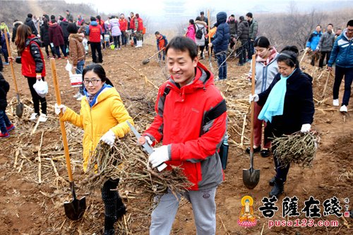 美化烟台合卢寺 悟实大和尚率千名信众植树两万多棵