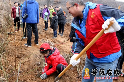 美化烟台合卢寺 悟实大和尚率千名信众植树两万多棵
