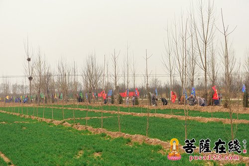 佛教-明海大和尚率众挥锹培土 植下一颗颗吉祥树
