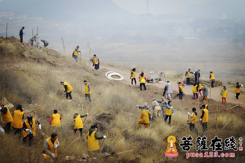 开元寺-开元寺义工团植树活动影像志