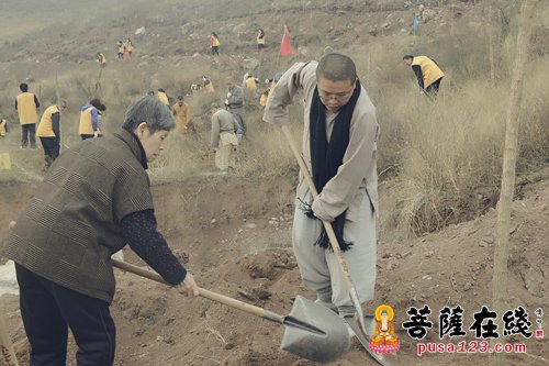 开元寺-开元寺义工团植树活动影像志
