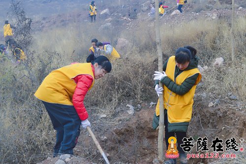 开元寺-开元寺义工团植树活动影像志