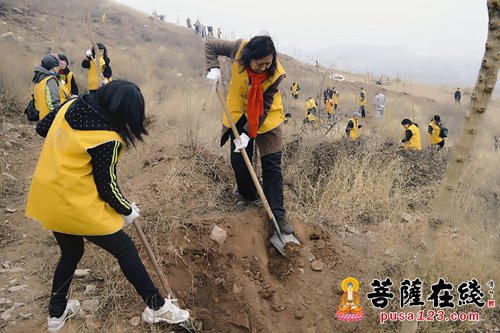 开元寺-开元寺义工团植树活动影像志