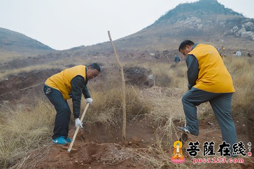 开元寺-开元寺义工团植树活动影像志