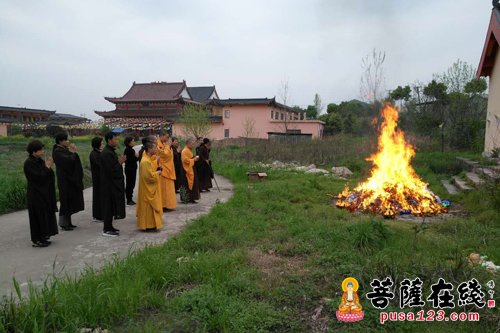 普照寺-鄂州普照寺清明节思亲报恩法会 信众虔诚诵经