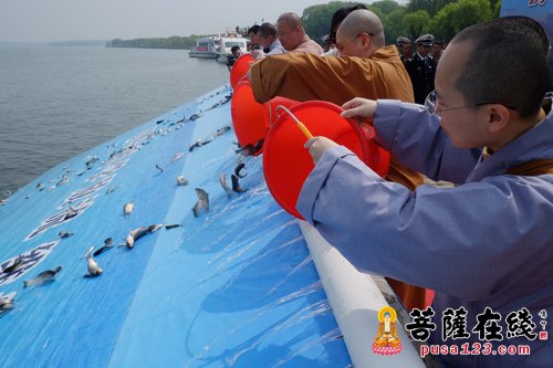 淀山湖-培植慈悲心 长养善根 龙华古寺法师代表参加2017年淀山湖放流活动