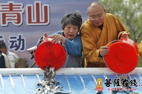 淀山湖-培植慈悲心 长养善根 龙华古寺法师代表参加2017年淀山湖放流活动