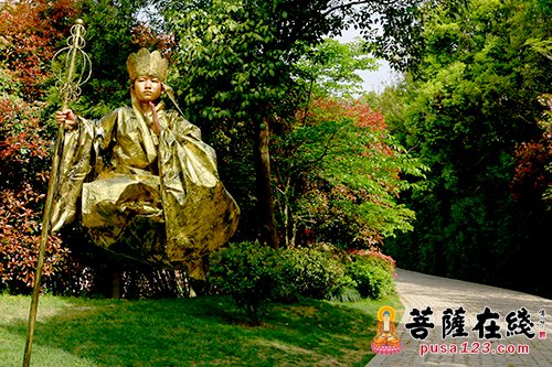 文化-佛音缭绕 茶韵飘香 第九届中国普陀佛茶文化节开幕