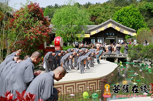 文化-佛音缭绕 茶韵飘香 第九届中国普陀佛茶文化节开幕