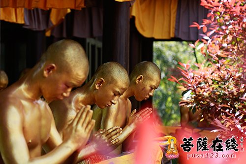 文化-佛音缭绕 茶韵飘香 第九届中国普陀佛茶文化节开幕