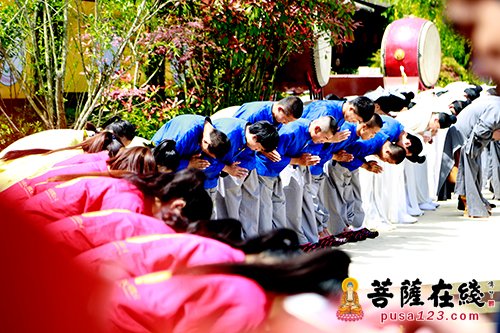 文化-佛音缭绕 茶韵飘香 第九届中国普陀佛茶文化节开幕