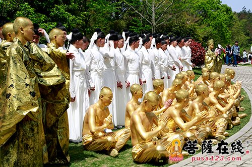 文化-佛音缭绕 茶韵飘香 第九届中国普陀佛茶文化节开幕