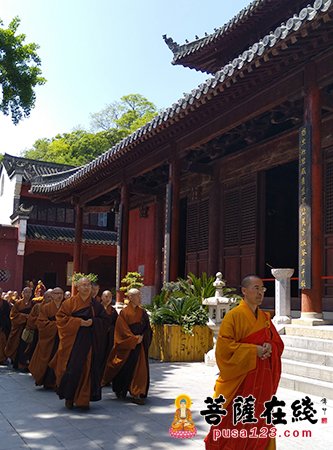 佛教-天台山佛学院学僧参拜玉泉祖庭 道伟法师慈悲开示