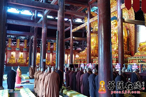 佛教-天台山佛学院学僧参拜玉泉祖庭 道伟法师慈悲开示