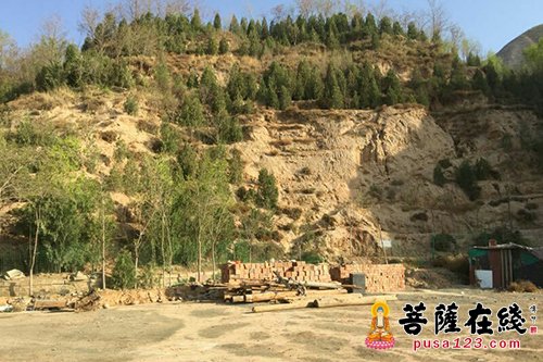 慈善-对于植树护林报恩寺是认真的 江西青原弘济慈善基金会一起出力